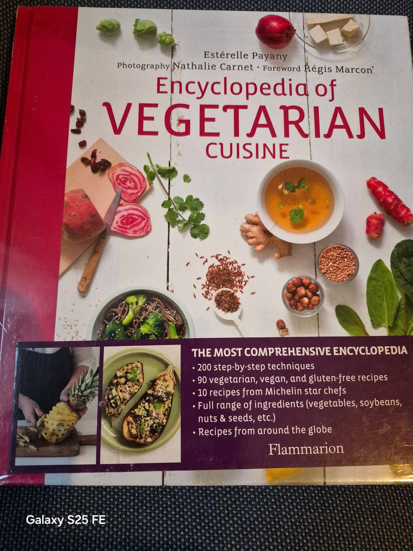 Vegetarian Recipes Encyclopedia Guide