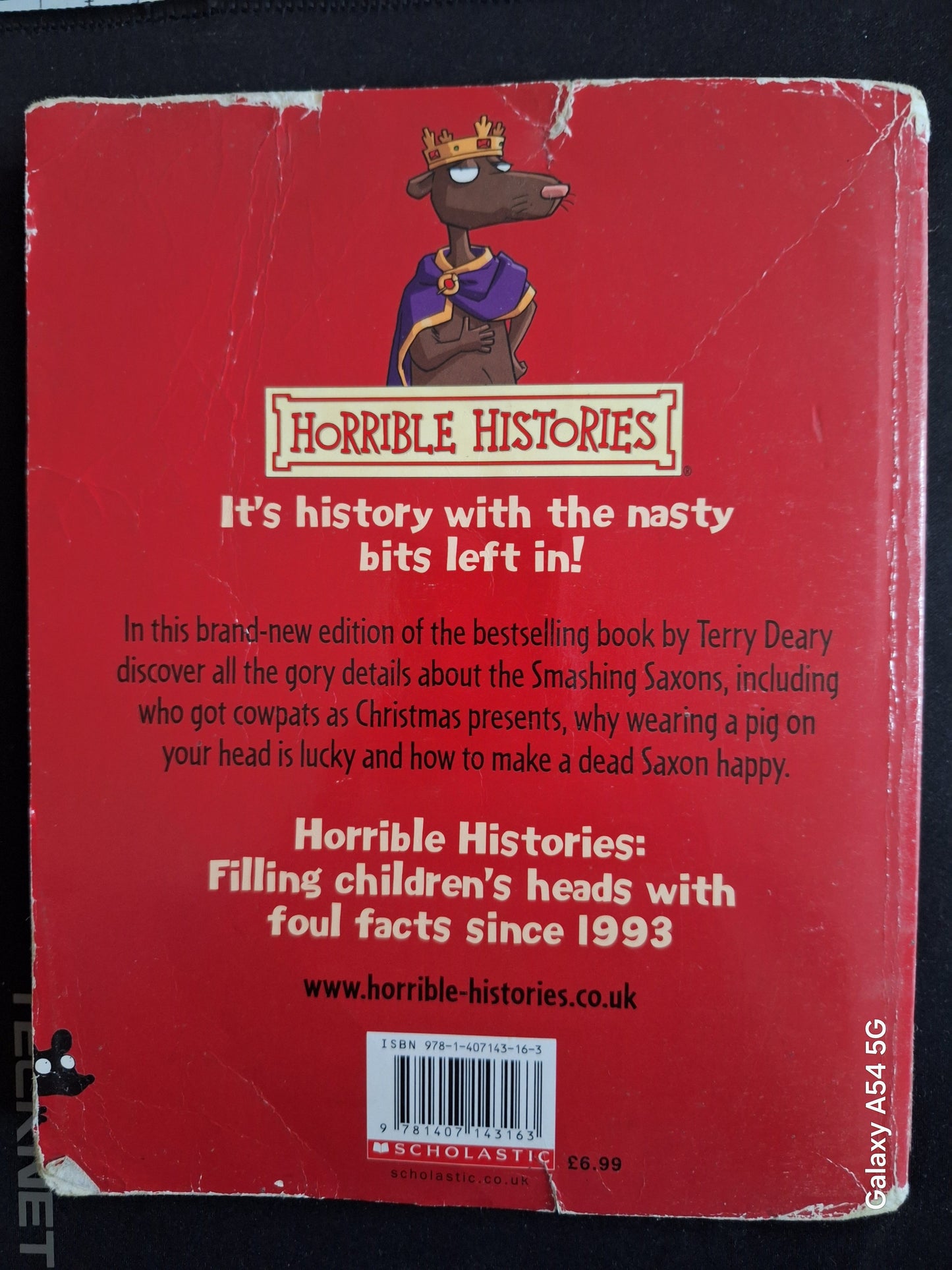 Back cover of Horrible Histories Smashing Saxons book by Terry Deary with red background and cartoon character