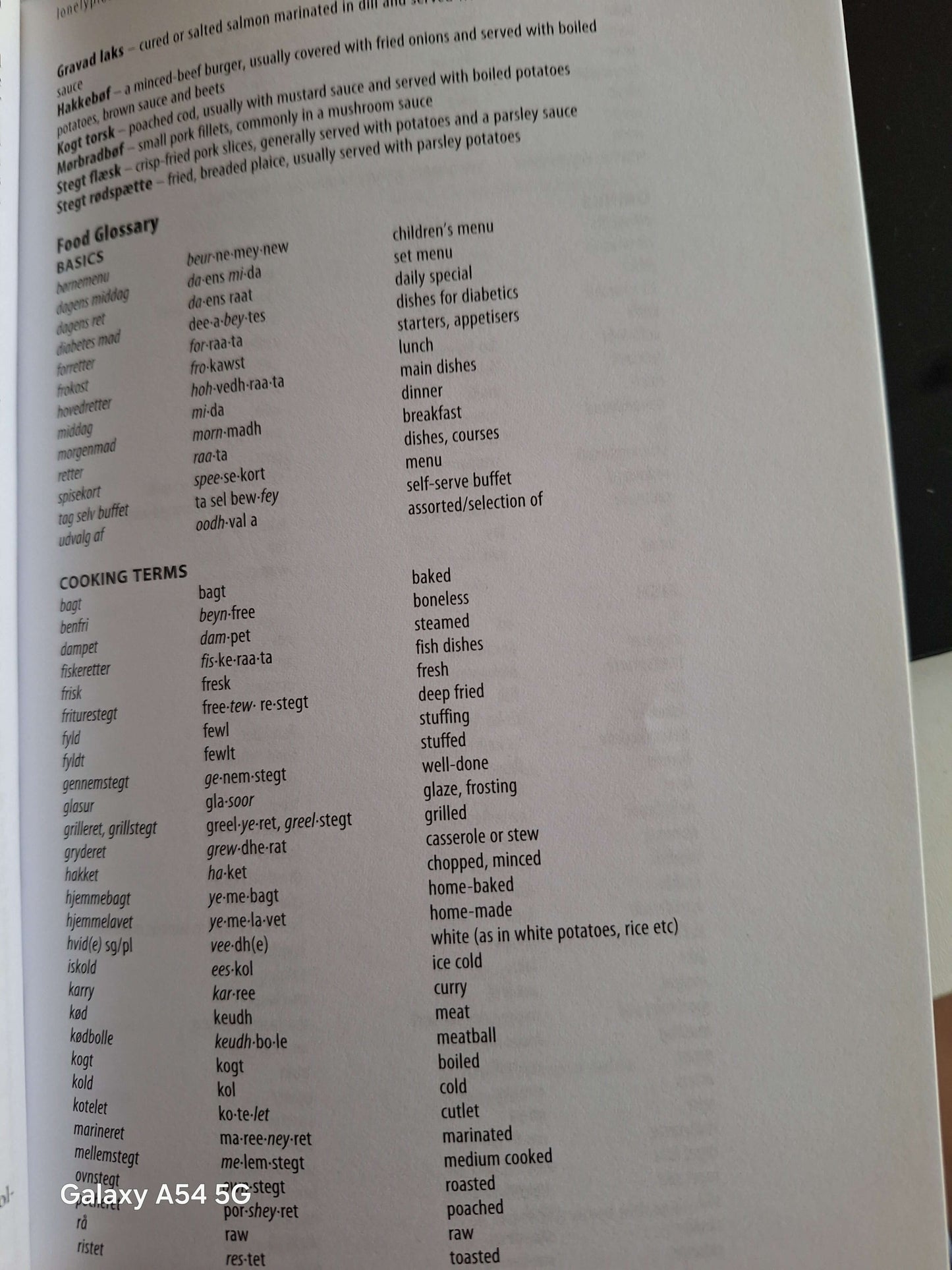 Contents page of Lonely Planet Denmark guidebook featuring food glossary and cooking terms