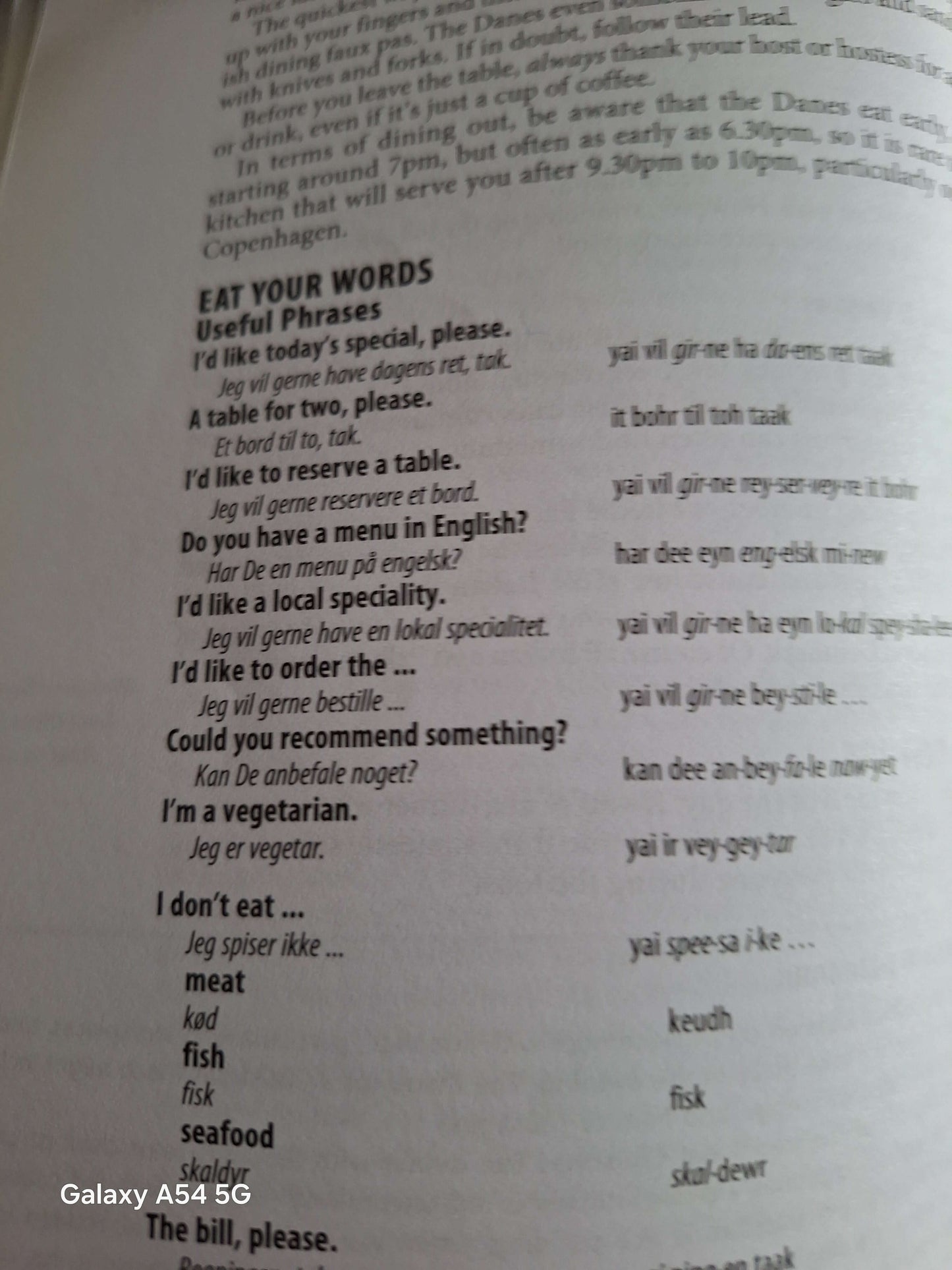 Lonely Planet Denmark guidebook featuring useful phrases and dining etiquette tips