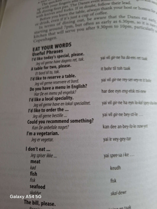 Lonely Planet Denmark guidebook featuring useful phrases and dining etiquette tips