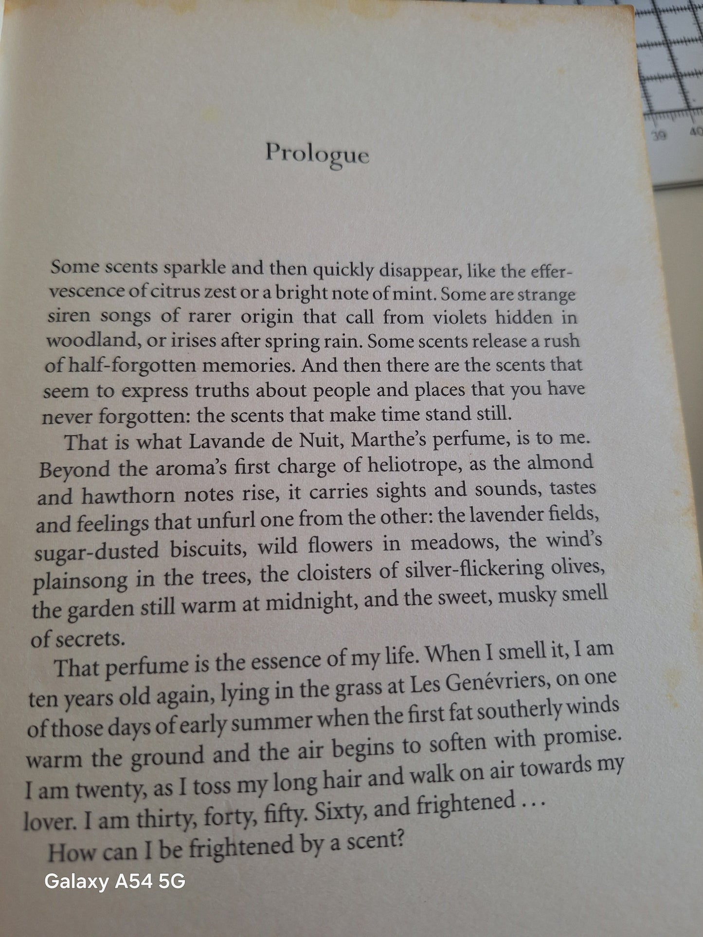 The Lantern Deborah Lawrenson used book featuring engaging prologue and vivid scent descriptions