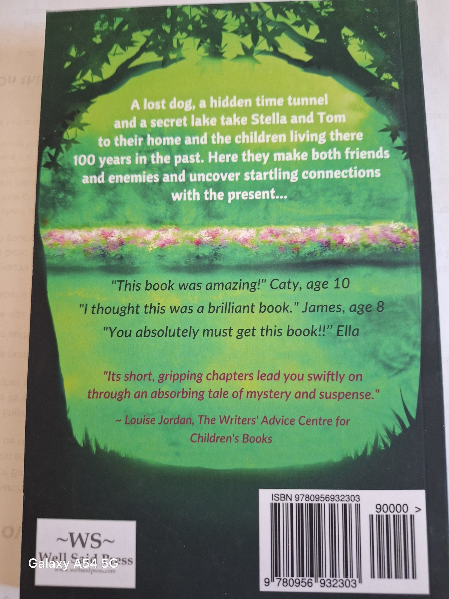 Back cover of The Secret Lake Karen Inglis featuring reviews and a captivating synopsis of the story